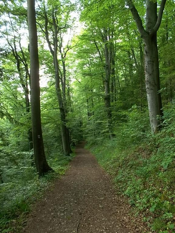 Hotel Schiff Nagold